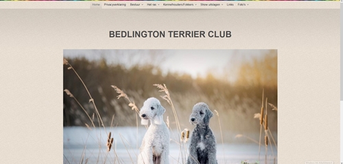 Bedlington Terrier Club Netherlands (NL)